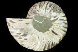 Cut & Polished Ammonite Fossil (Half) - Madagascar #166803-1